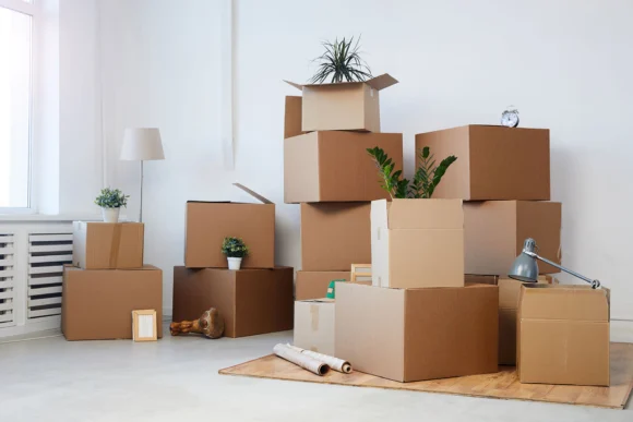 Moving Company in Stevensville, MD